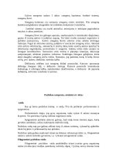 Temperamentas psichologijoje 11 puslapis