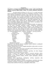 Temperamentas psichologijoje 4 puslapis