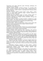 Temperamentas psichologijoje 5 puslapis