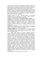 Temperamentas psichologijoje 7 puslapis