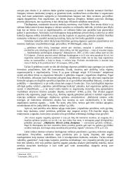 Pritaikomoji psichikos esmė 3 puslapis