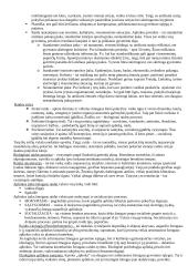 Raidos psichologijos disciplina 2 puslapis