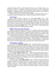 Renesanso kultūra ir jos istorija 5 puslapis