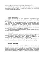 Senovės romėnai 2 puslapis