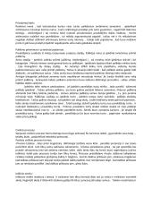 Romėnų civilinė teisė: sistema ir periodizacija 11 puslapis