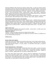 Romėnų civilinė teisė: sistema ir periodizacija 3 puslapis