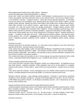 Romėnų civilinė teisė: sistema ir periodizacija 7 puslapis