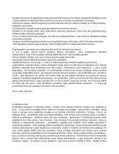 Romėnų civilinė teisė: sistema ir periodizacija 9 puslapis