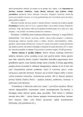 Romos kultūros helenizacija 4 puslapis