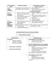 Savižudybės krizinė situacija 3 puslapis