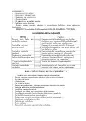 Savižudybės krizinė situacija 8 puslapis