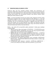 Semantinio modelio elementai 3 puslapis