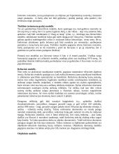 Semantinio modelio elementai 7 puslapis