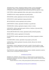 Senosios civilizacijos 2 puslapis