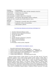 Senosios civilizacijos 3 puslapis