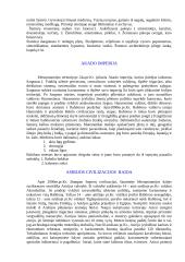 Senosios civilizacijos 6 puslapis