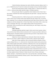 Senovės civilizacijos - teorija 2 puslapis