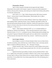 Senovės civilizacijos - teorija 3 puslapis