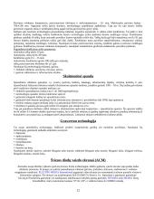 Skaitmeninės reklamos technologijos 12 puslapis