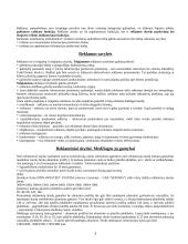 Skaitmeninės reklamos technologijos 3 puslapis