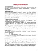 Smurto šeimoje ir visuomenėje prevencija 7 puslapis