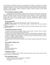 Socialinio sektoriaus organizavimas - pasiruošimas egzaminui 16 puslapis