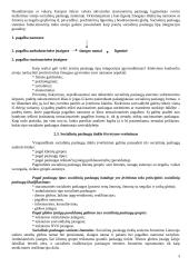 Socialinių paslaugų infrastruktūra ir administravimas 3 puslapis