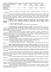 Socialinių paslaugų infrastruktūra ir administravimas 4 puslapis