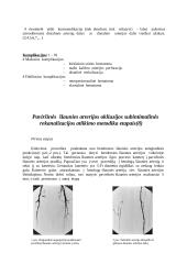 Subintimalinė arterijų rekanalizacija – alternatyva chirurginiam apatinės galūnės lėtinės okliuzijos gydymui 6 puslapis