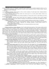 Šeimos ir vaikų psichoterapijos teorinės paradigmos 13 puslapis