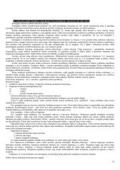 Šeimos ir vaikų psichoterapijos teorinės paradigmos 19 puslapis