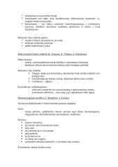 Šeimos konsultavimas 3 puslapis