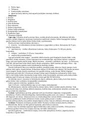 Širdies ir kraujagyslių ligos 15 puslapis