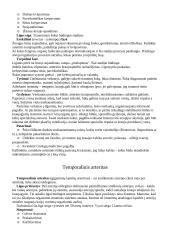 Širdies ir kraujagyslių ligos 3 puslapis