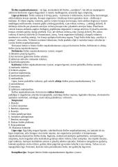 Širdies ir kraujagyslių ligos 7 puslapis