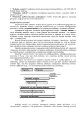 Šiuolaikinės duomenų perdavimo technologijos 17 puslapis
