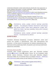 Teksto rinkimas ir redagavimas 2 puslapis