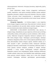 Ultragarsas 4 puslapis