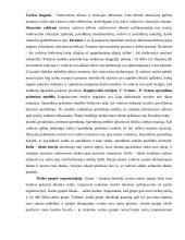 Valdymo psichologijos teorija 2 puslapis