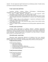Valdymo psichologijos teorija 3 puslapis