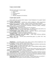 Valdymo psichologijos teorija 4 puslapis
