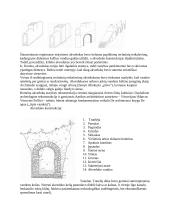 Vandentiekis Senovės Romoje 3 puslapis