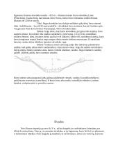 Vandentiekis Senovės Romoje 4 puslapis