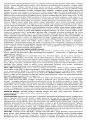 Pasiruošimas egzaminui - viešasis administravimas 14 puslapis