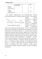 Vietiniai tinklai 16 puslapis