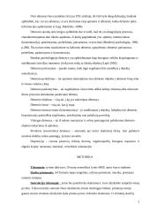 Dėmesio patvarumo ir perkėlimo tyrimas aritmetinių operacijų pagalba 2 puslapis