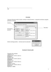 Įvedimas – išvedimas paprastoje dešimtainėje ir DC dešimtainėje sistemoje 5 puslapis