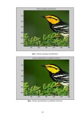 Vaizdo apdorojimas MatLab 18 puslapis