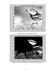 Vaizdo apdorojimas MatLab 19 puslapis