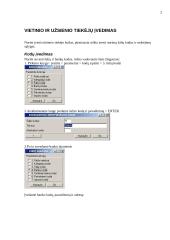 Vietinio ir užsienio tiekėjų įvedimas 2 puslapis